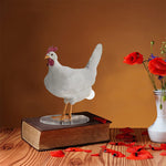 egg lamp