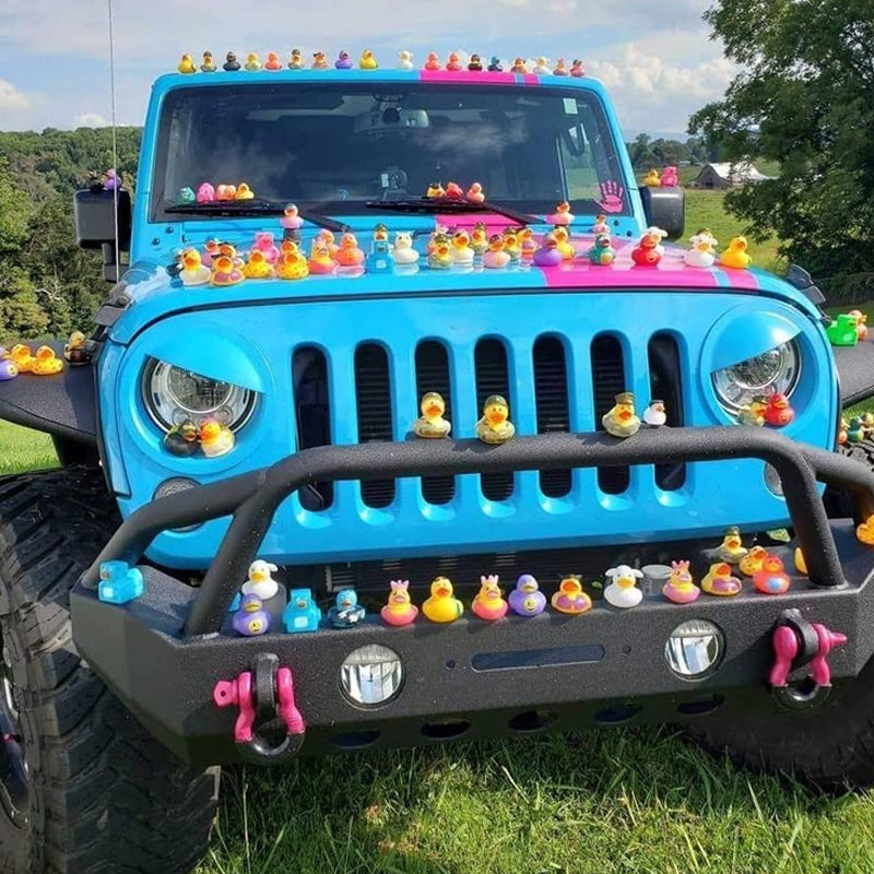 Rubber Duck Mount