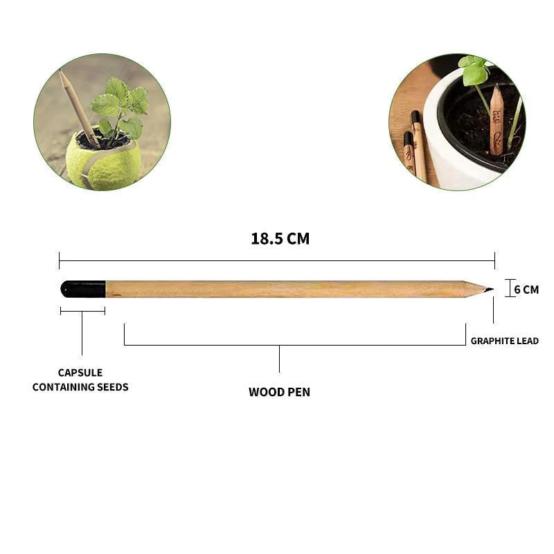 Sprout plantable graphite pencils - 8 Pcs