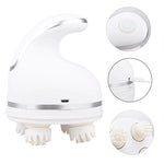 Multi-functional Pet Massager