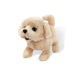 Realistic Teddy Dog Lucky