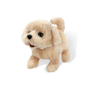 Realistic Teddy Dog Lucky