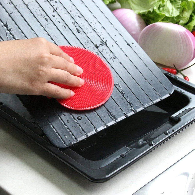 Fast Defrosting Tray for Frozen Food
