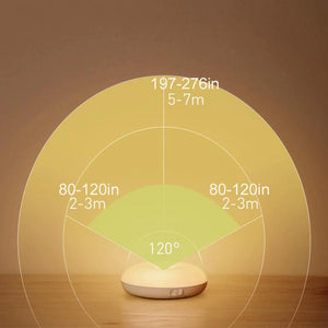 Intelligent human induction LED night light